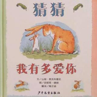 《猜猜我有多爱你》