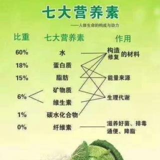 维生素A的重要性