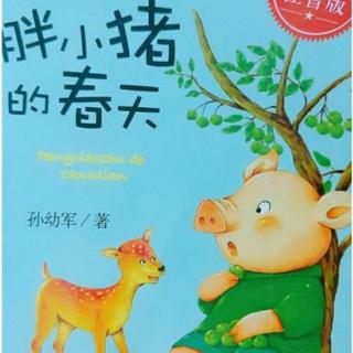 胖小猪🐷的春天