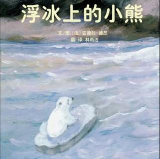 《浮冰上的小熊》 娇娇老师