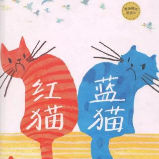 第65本绘本故事《红猫蓝猫》