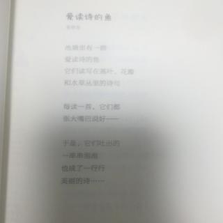 爱读诗的鱼