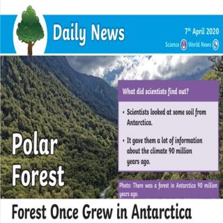 0407daily news polar forest