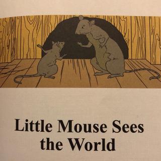 Little Mouse Sees the World
