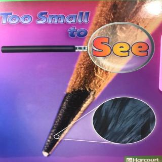 G2 Science LR Book10 - Too Small to See