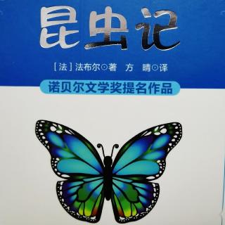 《昆虫记》——蝉和蚂蚁的寓言