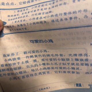 我的严组长