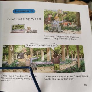 Save Pudding Wood