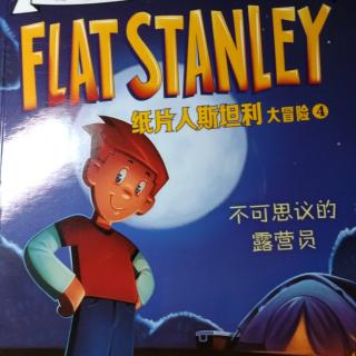 Flat   Stanley