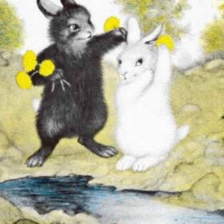 《黑兔和白兔》