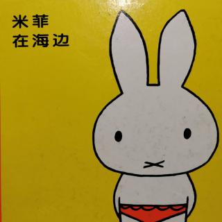 《米菲在海边》【荷】迪克布鲁纳