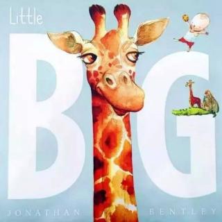 《Little Big 小大》——耶鲁富川幼儿园