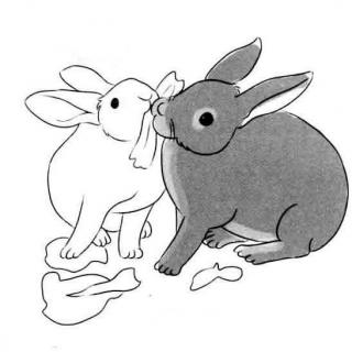 【晚安】小灰兔与小白兔