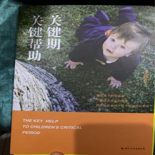 《关键期，关键帮助》怎样面对孩子的执拗  怎样引领孩子的工作