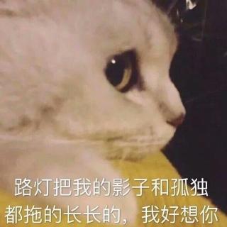 论语.弟子规.毛泽东诗词。