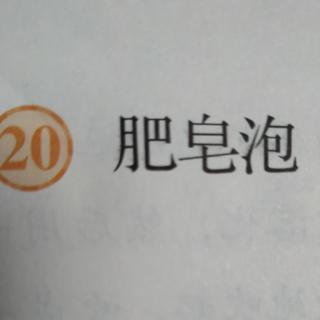 20肥皂泡