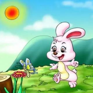 幼儿故事《小兔子🐰找太阳☀️》