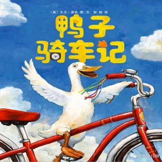 《鸭子骑车记🦆》