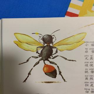 法布尔昆虫记：砂泥蜂的诞生