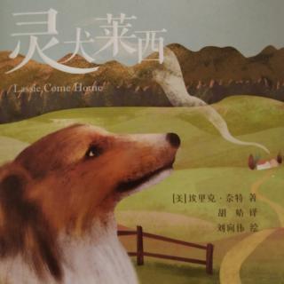 《灵犬莱西》第八集（上）