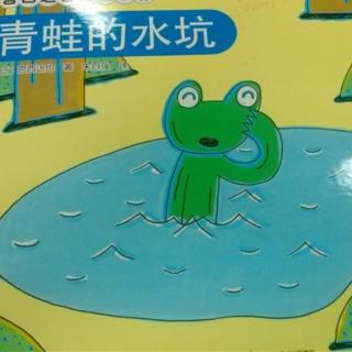 睡前小故事316  绘本《青蛙的水坑》