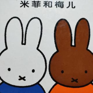 米菲系列米菲和梅儿