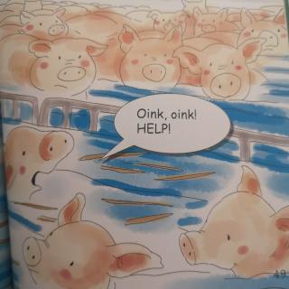 Swim with thr Pigs