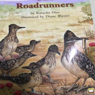 the roadrunners