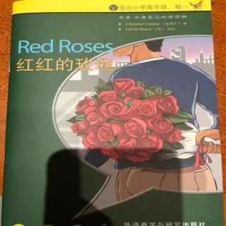 Red Roses红红的玫瑰🌹