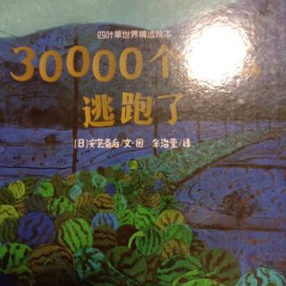 30000个西瓜逃跑了