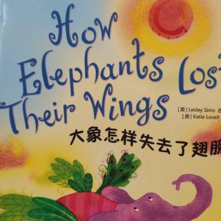 How elephants lost their wings