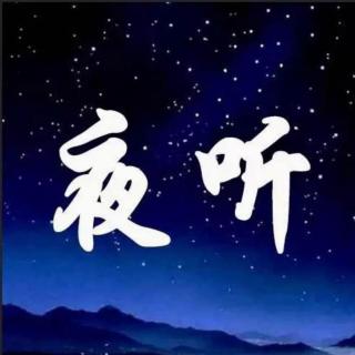 爱你，从未后悔过