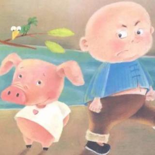 《找心眼的小猪🐷》