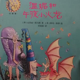 《温妮和午夜小火龙》