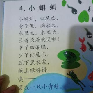 小班（二）4.《小蝌蚪》