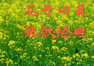 当你老了—叶芝 英文诵读—何虹（来自FM30517380）