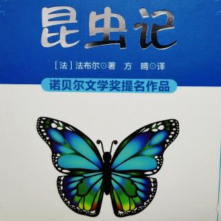 《昆虫记》——意大利蟋蟀