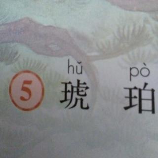 5琥珀