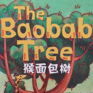 The Baobab tree