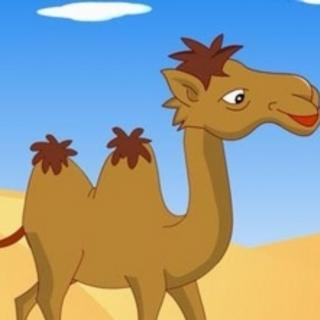 【鑫源启蒙幼儿园晚安故事22】《爱美的小骆驼🐫》