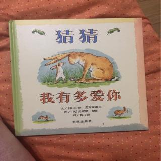 《猜猜我有多爱你》