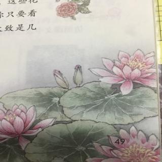 花钟