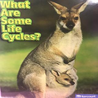 G2 Science LR Book42 - What are Some Life Cycles?