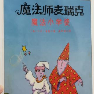 魔法师麦瑞克魔法小学徒