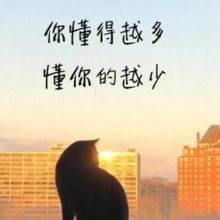 心灵空间:蓝颜知己到底有多蓝