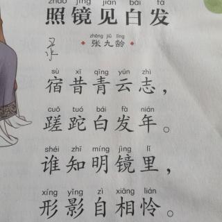 12照镜见白发 张九龄