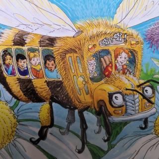 神奇校车—奇妙的蜂巢（下）