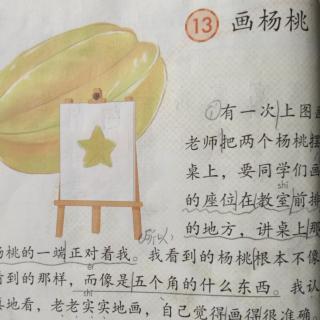 课文13.画杨桃