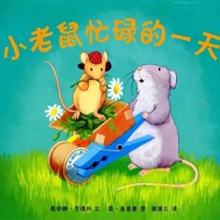 《小老鼠忙碌的一天》