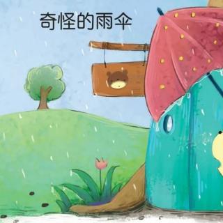 《奇怪的雨伞🌂》